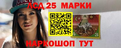 шишки Новозыбков