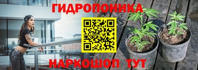 шишки Новозыбков