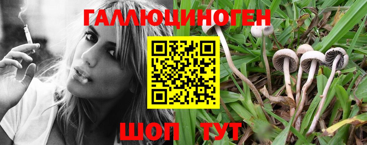 Амфетамин кристаллы  Вход с VPN  Кокаин  МЕФ   Сочи  НБОМе  APVP СК   ГАШ  Канабис 